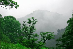 Gilan Province - IRAN