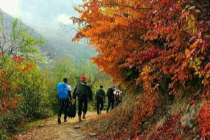 Ziarat Village