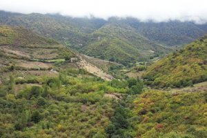 Ziarat Village
