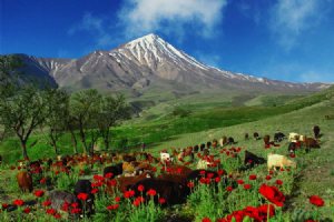 Damavand Mountain