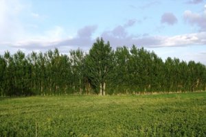 Nature near Malekan
