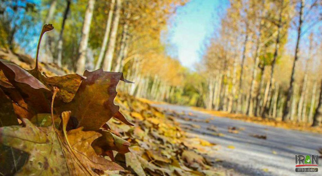 Nazhvan Forest Park, an old garden in the heart of Isfahan