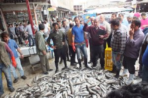 Mahmoudabad Bazaar - Mazandaran