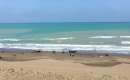 Mahmoudabad - Mazandaran (Thumbnail)