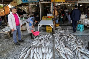 Mahmoudabad Bazaar - Mazandaran