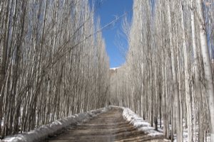 Sepidan - Fars Province
