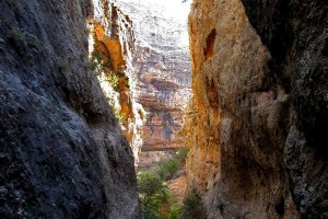 Tang-e Gambil - Sepidan