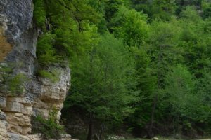 NEKA River