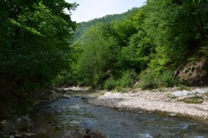 NEKA River