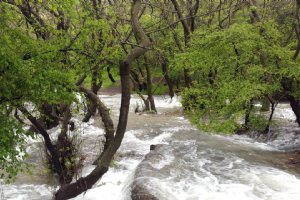 Faresban (Farsban) Spring - Nahavand