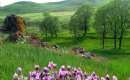 Sarab - East Azerbaijan (Thumbnail)