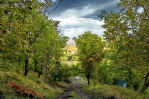 Sardasht - West Azerbaijan