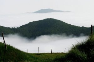 Abr Forest - Shahrud