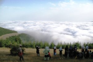 Abr Forest - Shahrud - Semnan Province