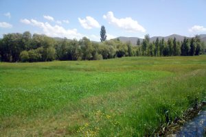 SIS Village - Shabestar