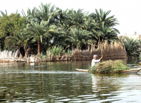 Shadegan Ponds