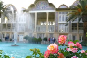 Eram Garden - Shiraz