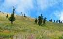 Mountains of Ghaleh-Ghafeh Village - Minoodasht (Thumbnail)