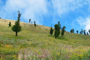 Mountains of Ghaleh-Ghafeh Village - Minoodasht