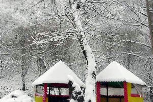 Chehelchai Forest park - Minoodasht