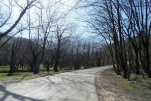 Bagherabad - Minoodasht