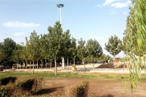 Kosar Park - Mehriz - Yazd Province