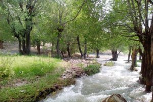 Lighvan Chay River