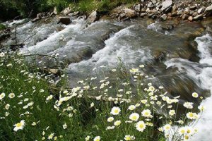 Lighvan Chay River