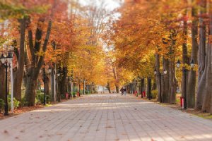 Bagh-e Mohtasham (Mohtasham Garden) Rasht