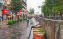 Rasht (Thumbnail)