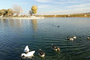 Sarab Lake - Qorveh (Ghorveh)