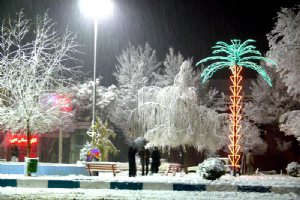 Shahreza (Qomsheh)