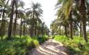Qasr-e Shirin (Ghasre shirin) (Thumbnail)