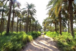 Qasr-e Shirin (Ghasre shirin)