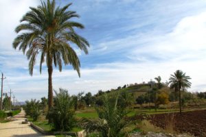 Qasr-e Shirin (Ghasre shirin)