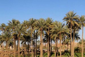 Qasr-e Shirin (Ghasre shirin)