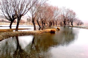 Golpayegan
