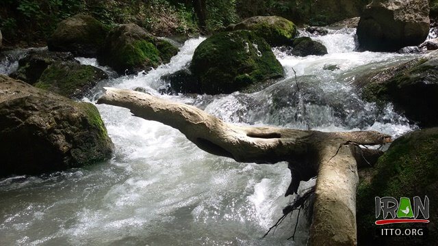 رود دهانه,dahanehriver,tangar,تنگر,گنبد کاووس,گنبدکاووس,گلستان,gonbad kavos,gonbad kavous,gonbadkavos,gonbad kavoos