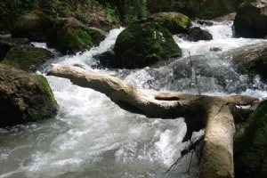 Dahaneh River Near Gonbad Kavoos