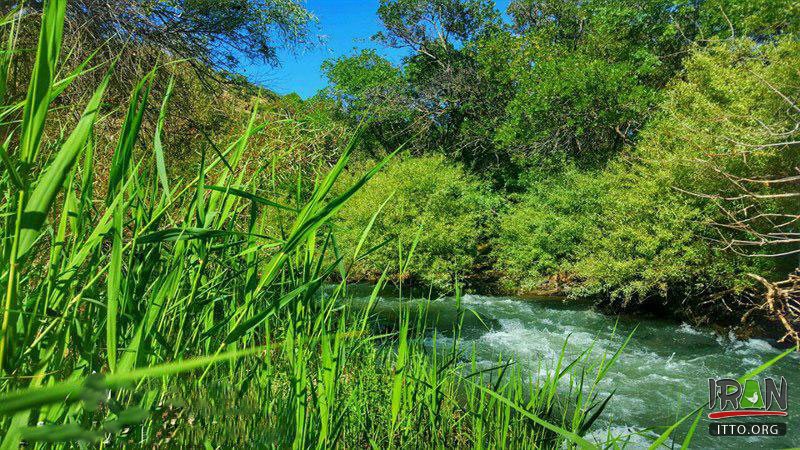 رود دهانه,dahanehriver,tangar,تنگر,گنبد کاووس,گنبدکاووس,گلستان,gonbad kavos,gonbad kavous,gonbadkavos,gonbad kavoos