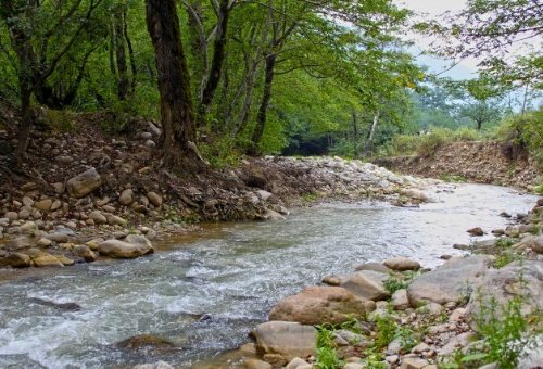 Dahaneh River in Gonbad Kavoos