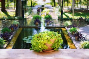 Negarestan Museum and Garden - Tehran