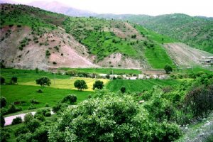 Nurabad (Delfan)