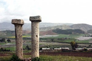 Dogoor-e-dopa stone columns
