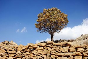 Uraman Takht Village - Kurdistan, IRAN