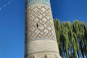 Negar Tower - Negar Village near Bardsir