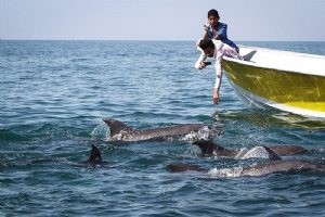 Qeshm Island - Persian Gulf