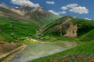 Talesh