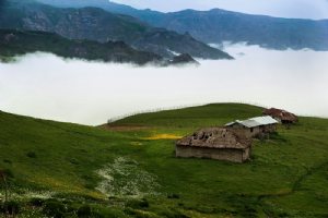 Talesh