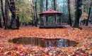 Gissoom Jungle - Talesh (Thumbnail)